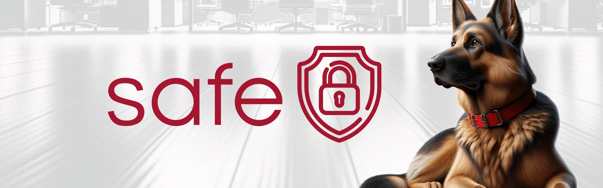 portada-servicios-safe